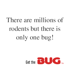 Bugs computer input devices. This product design concept included all aspects of design including: Product conception, product design, graphic design, packaging design, merchandising design, marketing and adverting.